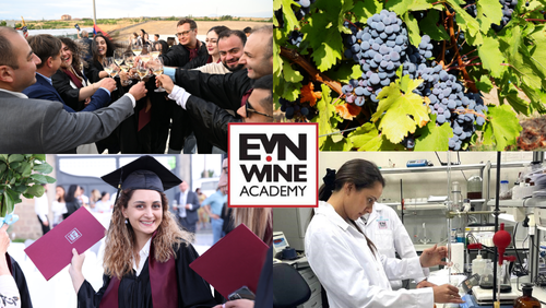 Академия вина EVN