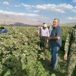 Сисианский филиал продолжает способствовать специализации арцахцев в аграрной сфере
