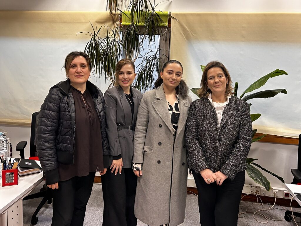 Դասավանդման եւ վերապատրաստման էրասմուսյան փորձառություն Վիզեուի պոլիտեխնիկական ինստիտուտում