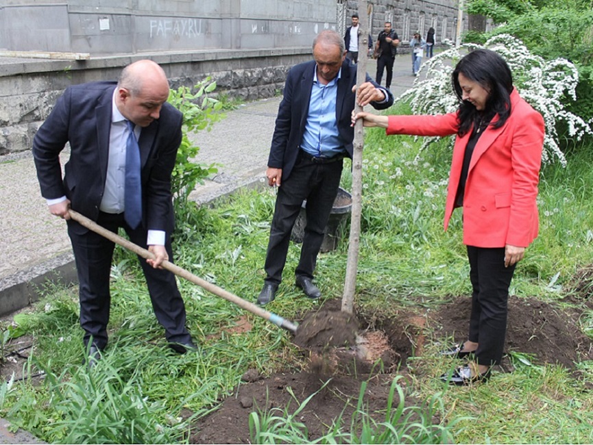 (Հայերեն) Ագրարային 95․ տոնական իրարանցում՝ հերթական ծառատունկը համալսարանի հարակից այգում
