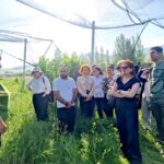 (Հայերեն) Հավաստագրերը հանձնվեցին դաշտում․ ավարտվել է օրգանական գյուղատնտեսության թեմայով կարճաժամկետ դասընթացը