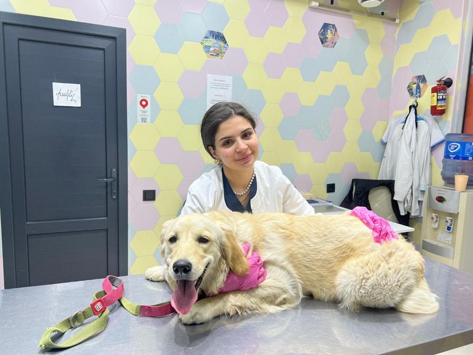 (Հայերեն) Ամեն ուսանող ունի իր «դուալ» ուղին․ Նարե Կիվրանյանի ուղին սկսվել է ԱմիրյանՎետ կլինիկայում