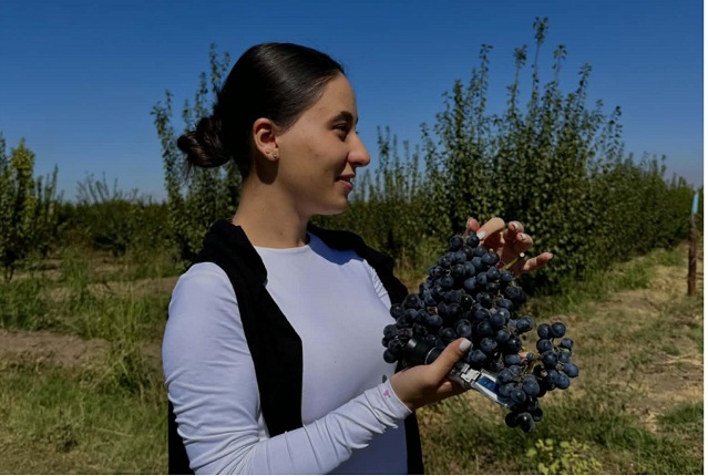 8235245d-11f2-41b3-ad04-ea60e694fbe2 8235245d-11f2-41b3-ad04-ea60e694fbe2