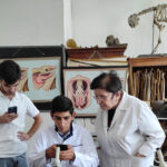 (Հայերեն) Աստղիկ Բադալյան. Մասնագիտությունս սիրելով ընտրեցի