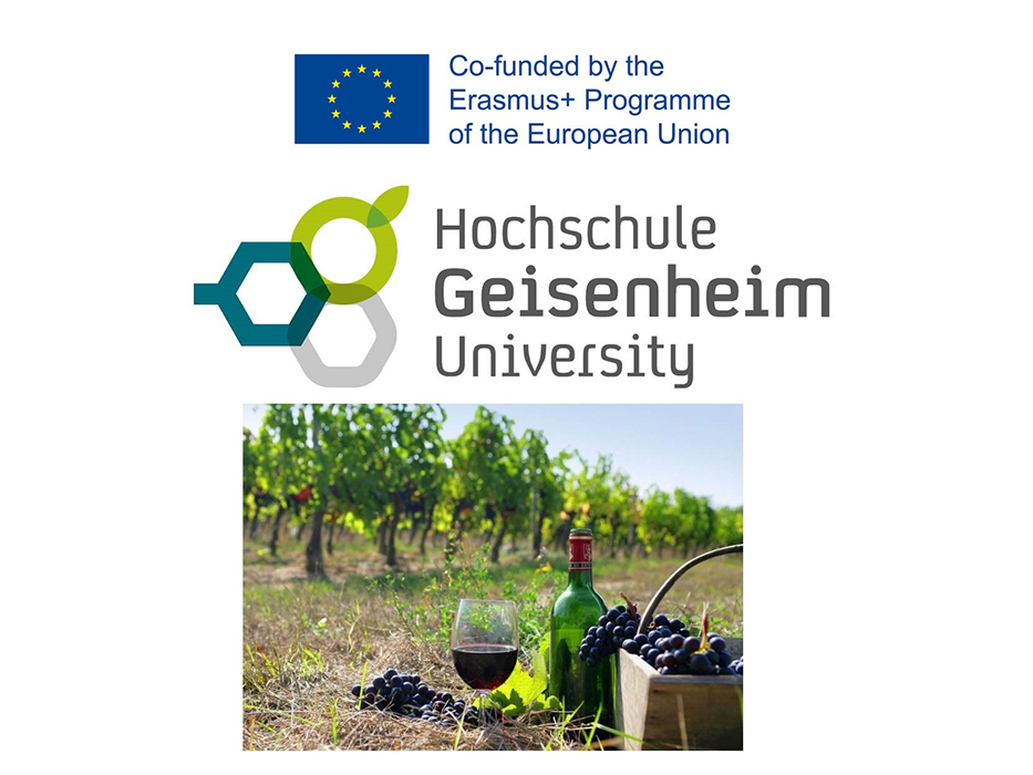 Մրցույթ ապագա գինեգործների համար Գայզենհայմի համալսարանում սովորելու նպատակով